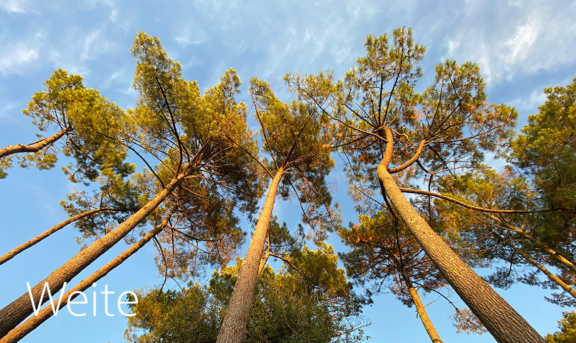 Psychologische Beratung Heike Kreuzer-Ott Esslingen